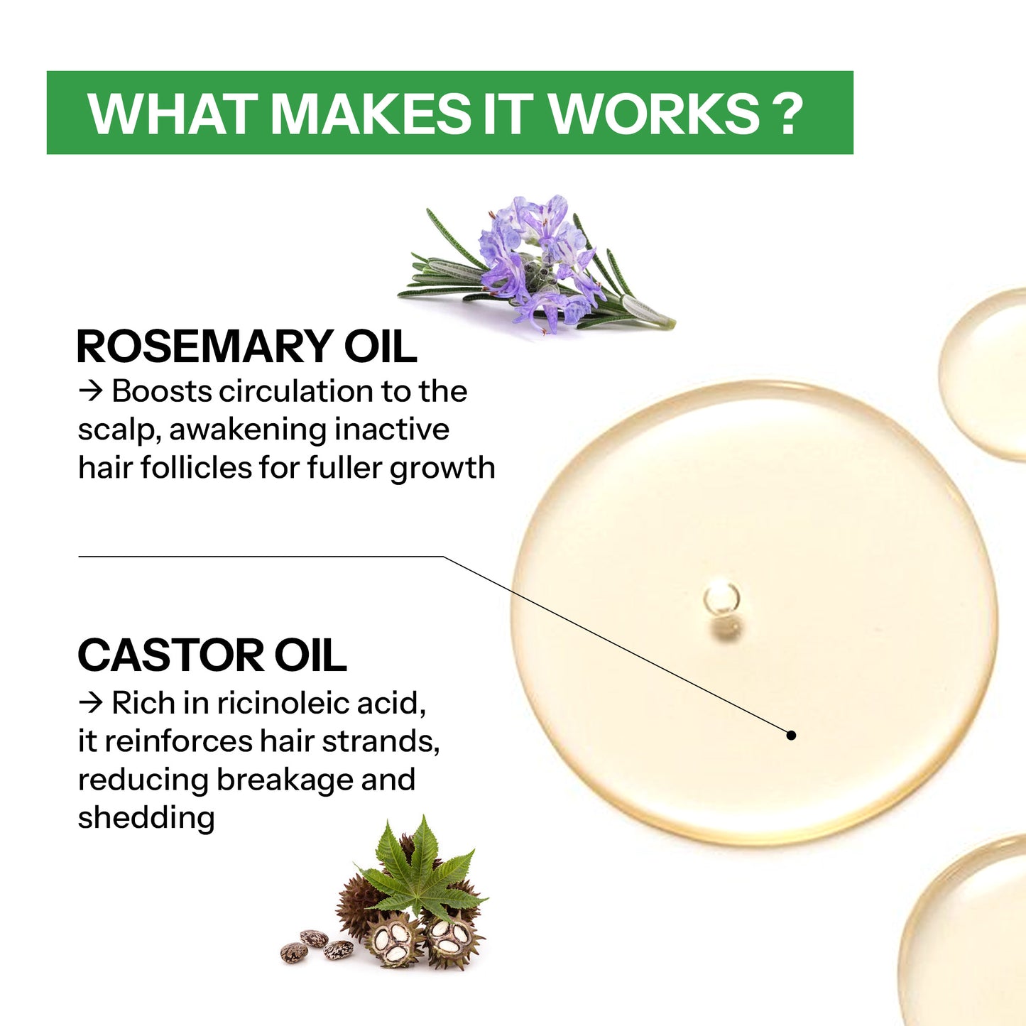 Segen Rosemary, Castor & Mint Hair Growth Oil – 250ml