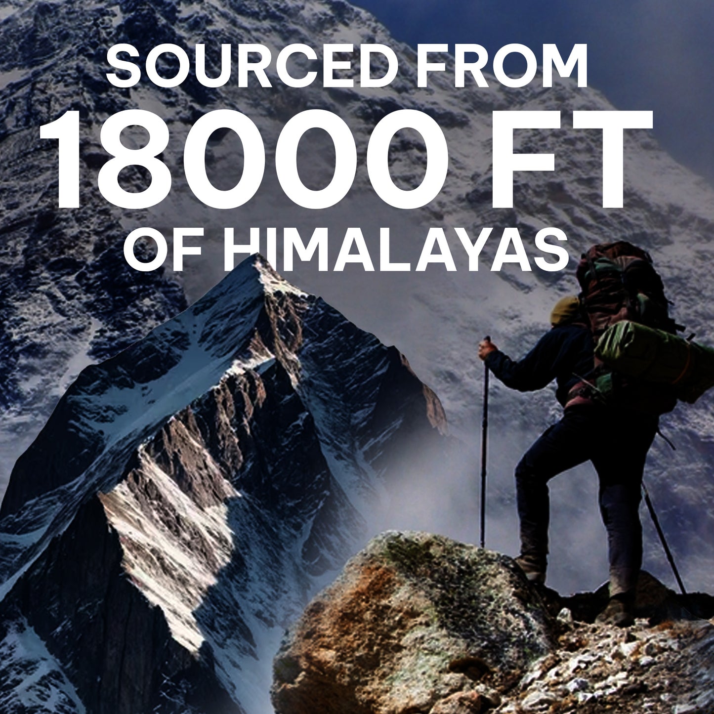 Segen Wellness Himalayan Shilajit Resin – 20g | Natural Energy & Stamina Booster with Pure Fulvic Acid