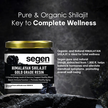 Segen Wellness Himalayan Shilajit Resin – 20g | Natural Energy & Stamina Booster with Pure Fulvic Acid