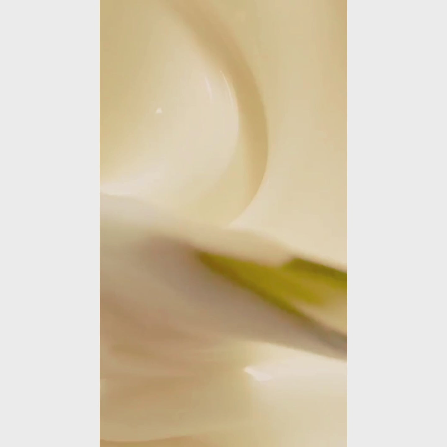 https://cdn.shopify.com/videos/c/o/v/618896d5b1654dc6b141ca92364b9f44.mp4