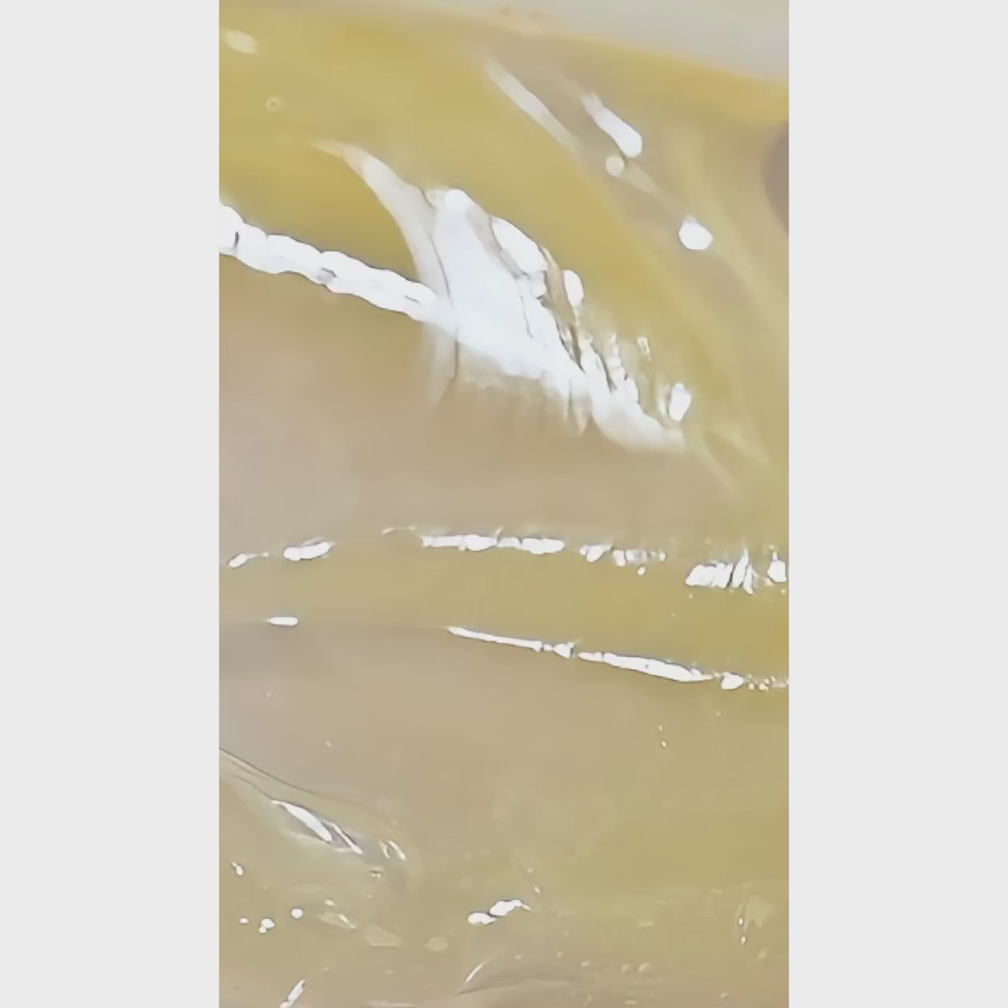 Segen Korean Glass Skin Cream 30g – Niacinamide, Peptides